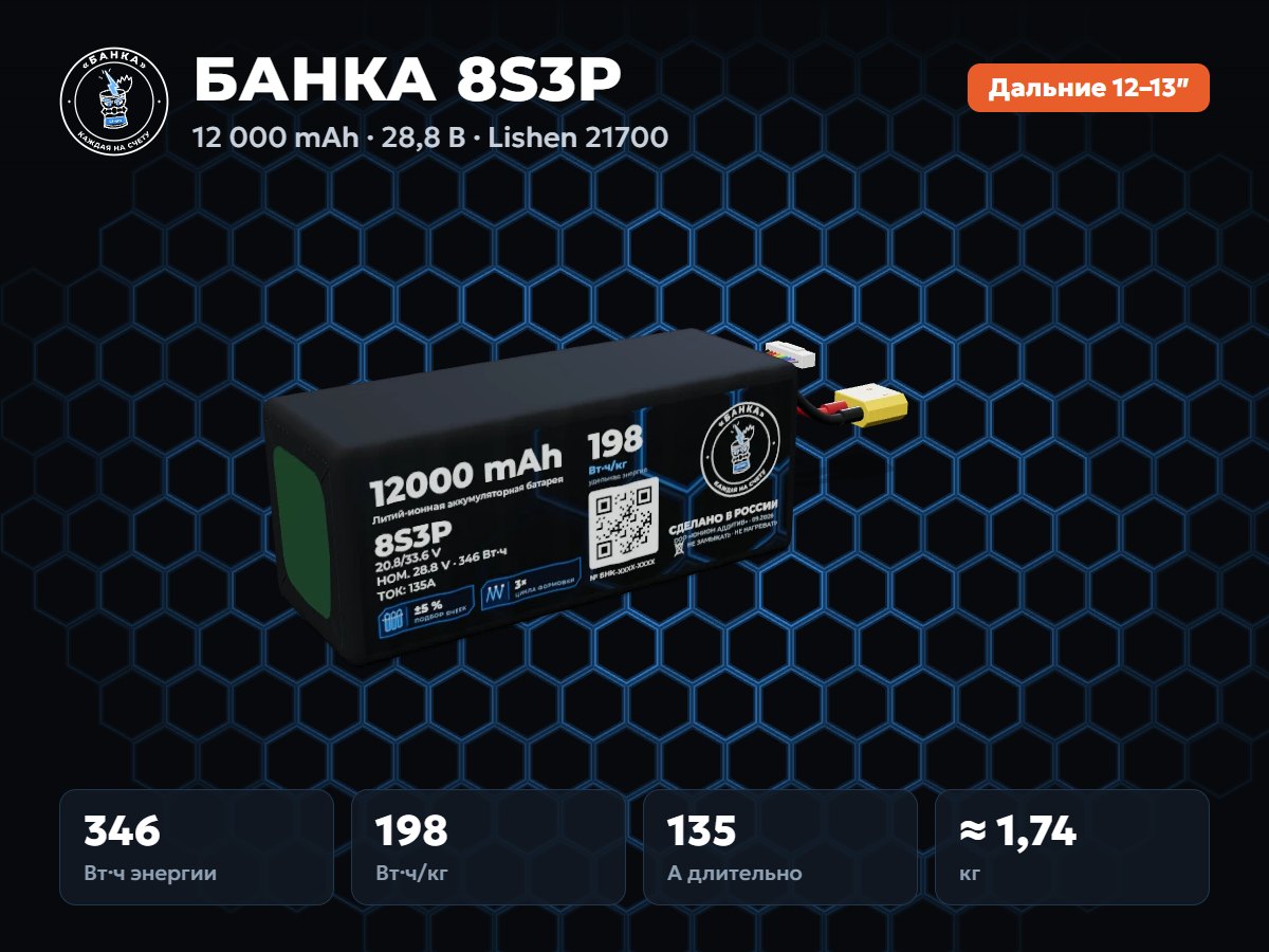 БАНКА 8S3P Lishen
