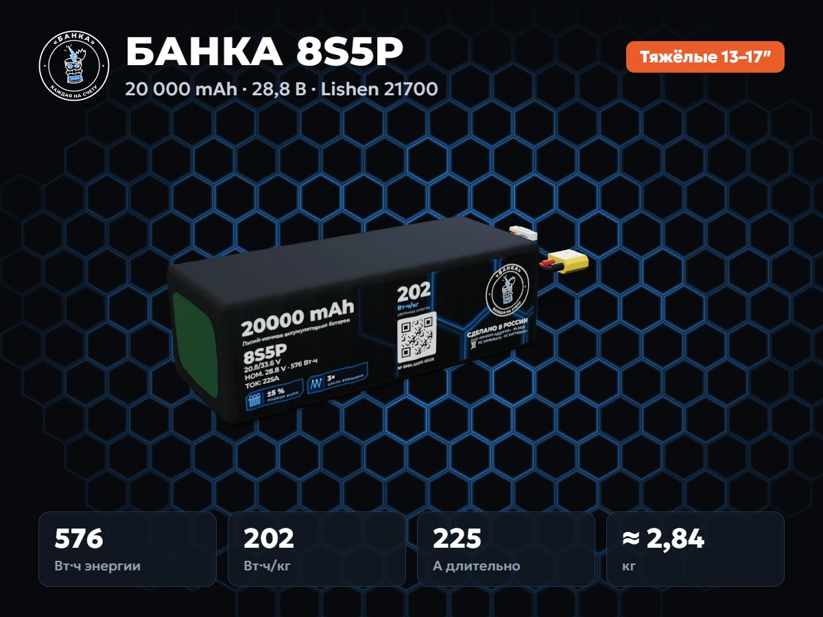 БАНКА 8S5P Lishen