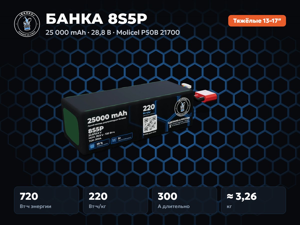БАНКА 8S5P Molicel P50B